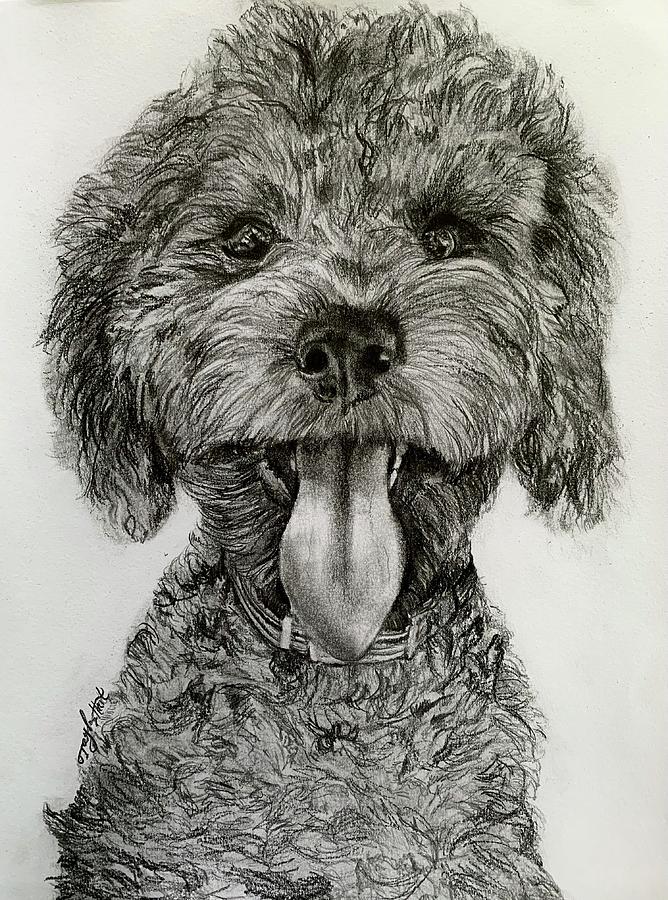 Dog Drawing Painting By Taylor Hart - Fine Art America