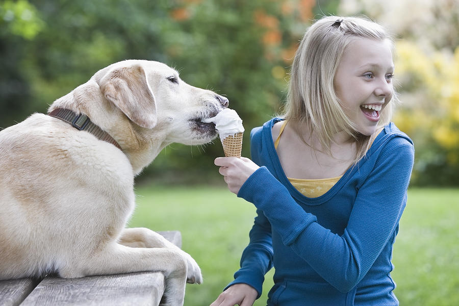 Dog eating girls ice cream cone Photograph by Tetra Images - Jetta Productions/Walter Hodges