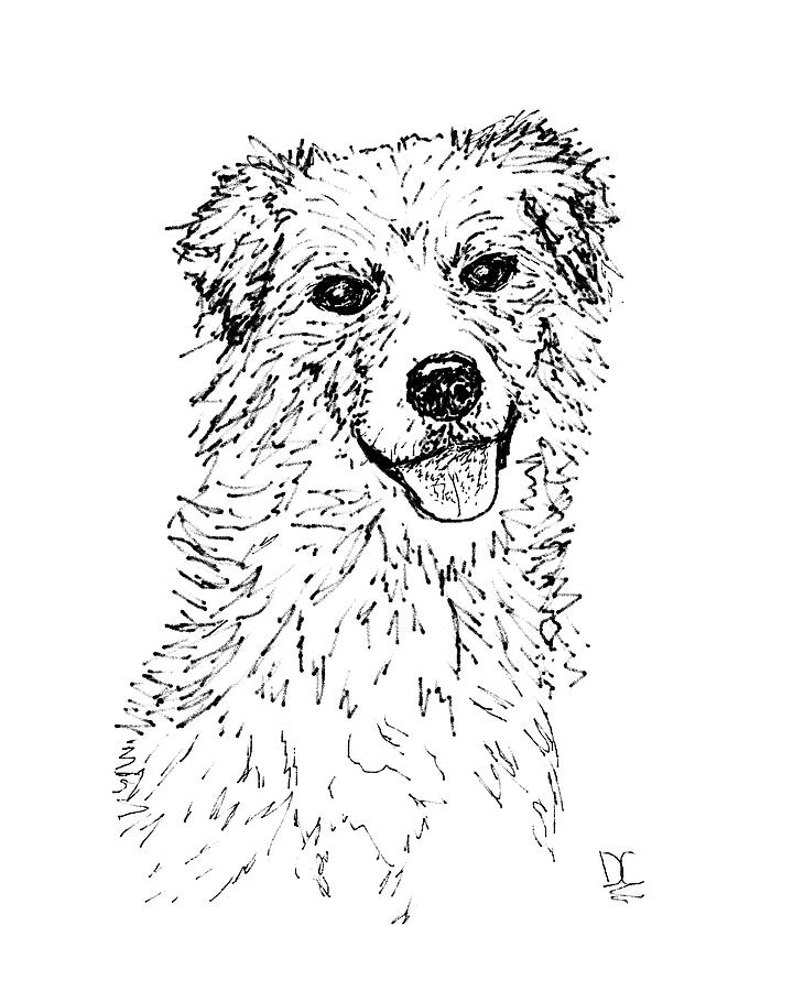Dog Gesture Sketch 1 Digital Art by Diane Chandler