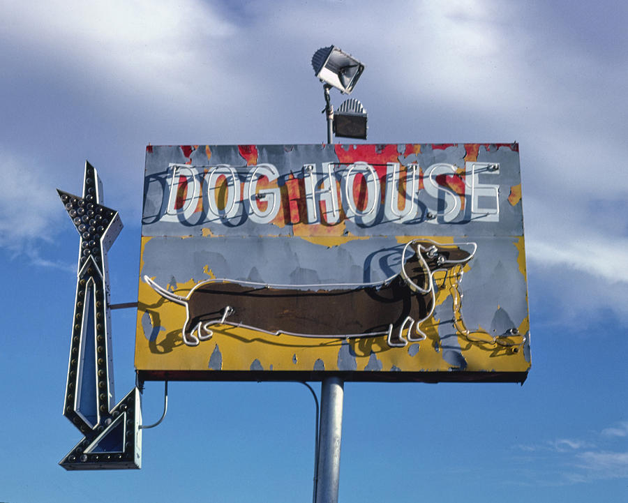 Dog House 1979 Photograph by Bob Geary