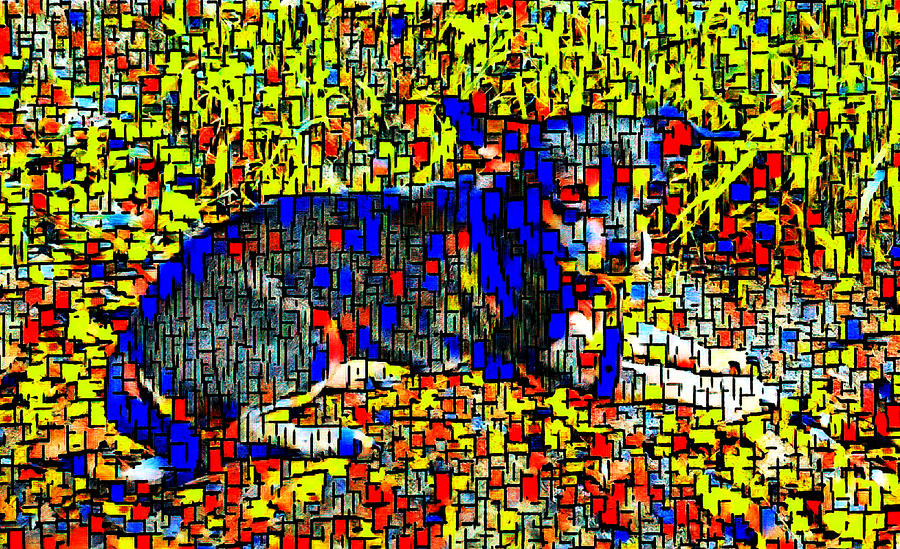Dog Impressions Digital Art by Ally White