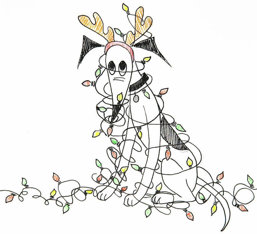Dog In Christmas Lights Drawing by Jani Freimann