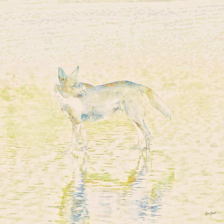 Dog in shallow water Digital Art by Bruce Block