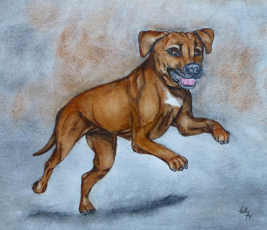 Dog Jumping Rhodesian Ridgeback  Painting by Kelly Mills