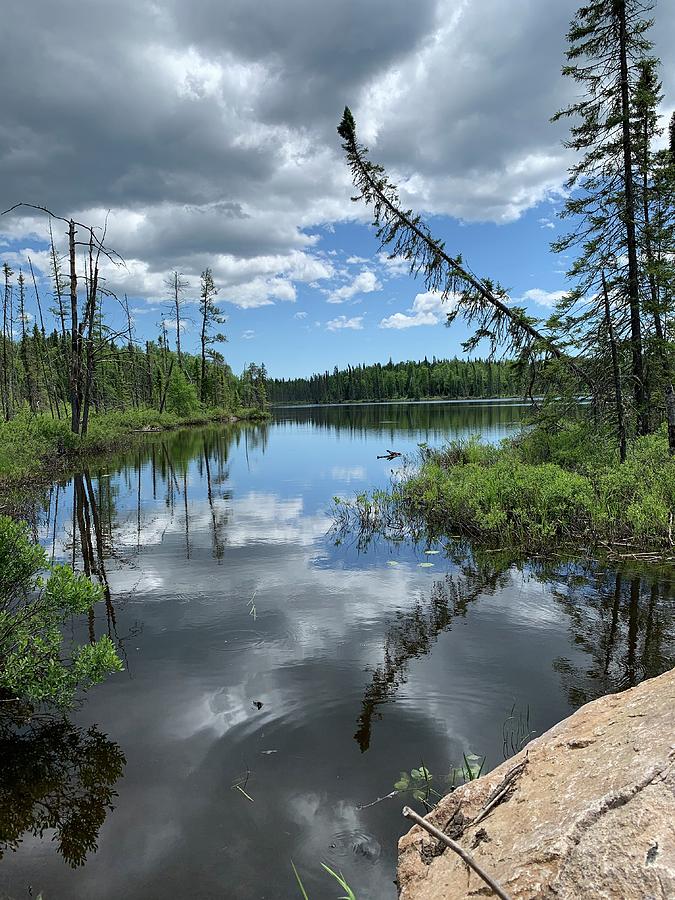 Dog Lake Road Photograph by Diana Cross - Fine Art America