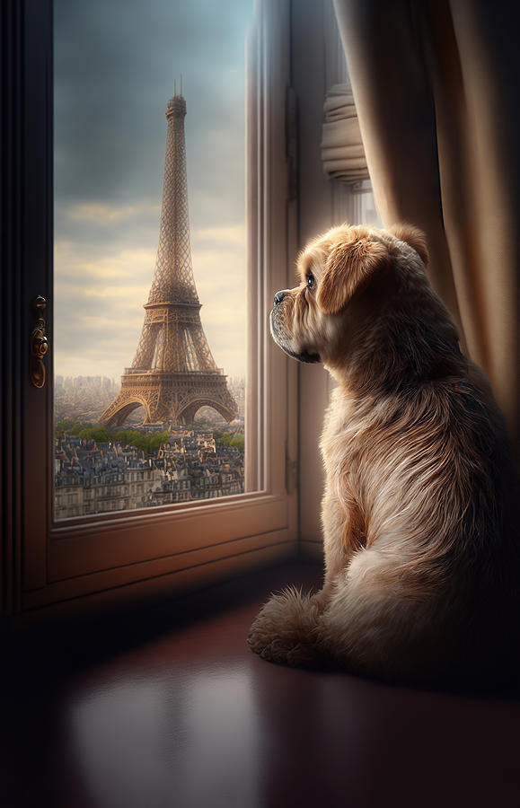 Dog Looking Out a Window at the Eiffel Tower by John Twynam
