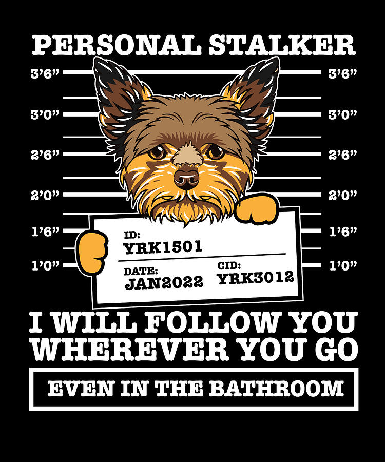 Dog Lover I Yorkie I Personal Stalker I Will Follow You Digital Art by ...