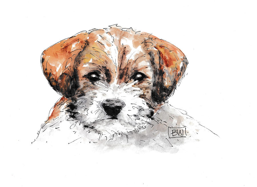 Dog - Mojo Painting by Barbara Wirth