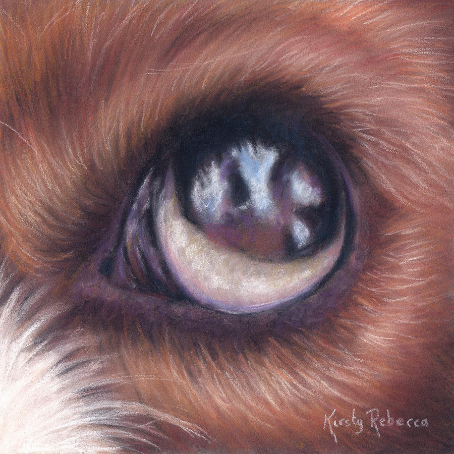Dog Eye Study Pastel by Kirsty Rebecca