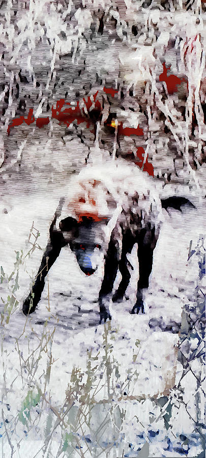 Dog of war Digital Art by Tamantha Williams