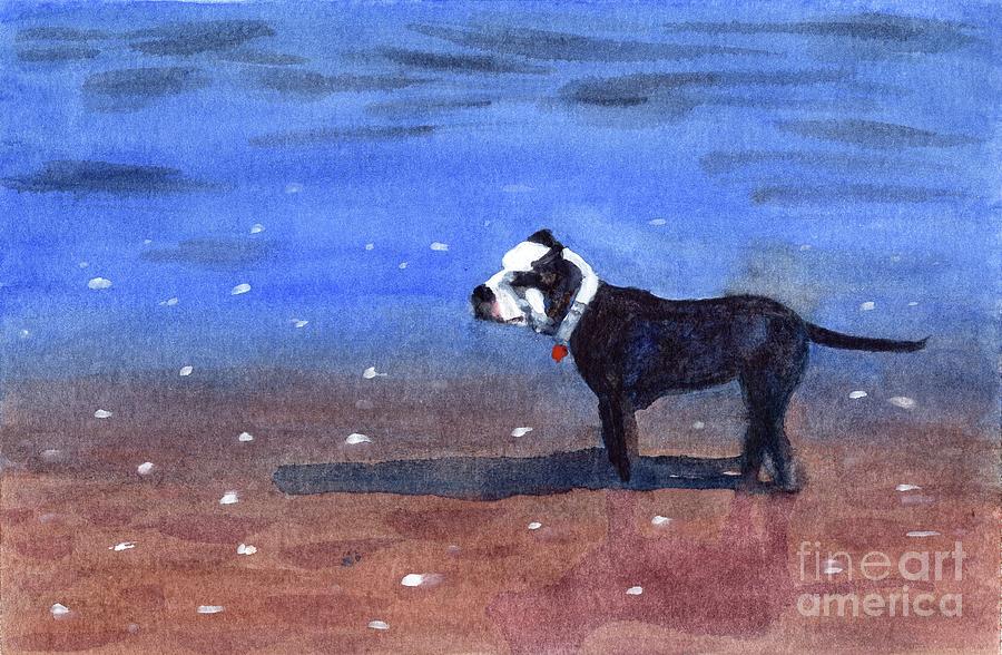 Dog on a Beach Painting by Vicki B Littell