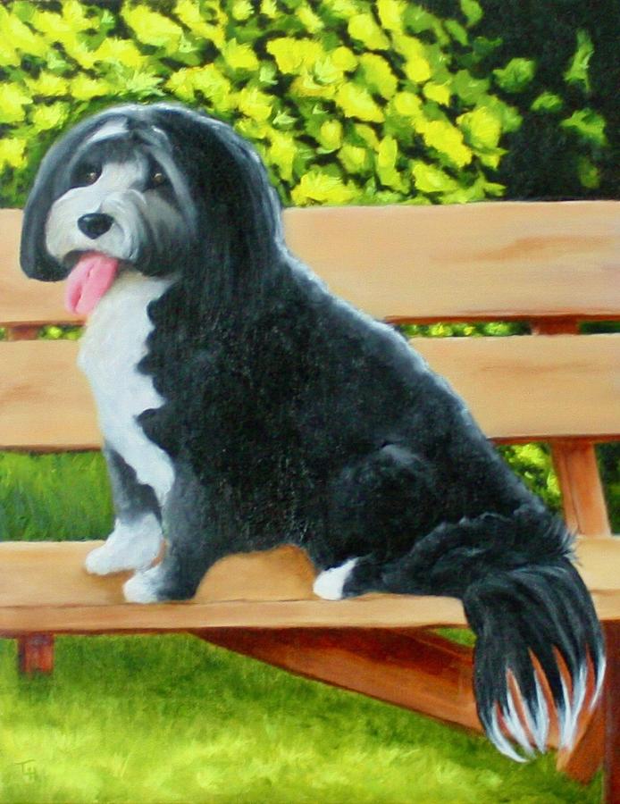 Dog on a Park Bench Painting by Tracy Hutchinson