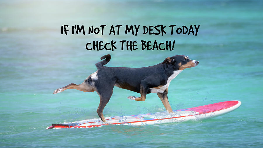 Dog On Surfboard Digital Art by Laguna Fox | Fine Art America