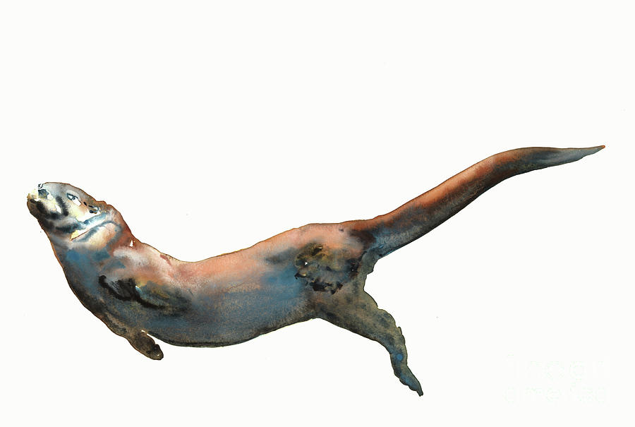 Dog Otter Painting by Mark Adlington