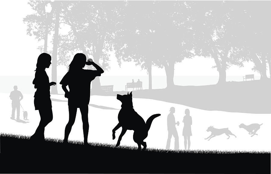 Dog Park Play Drawing by A-Digit