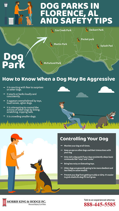 are dog parks safe