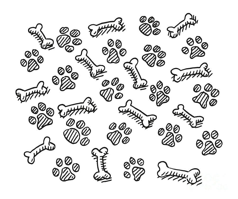 Dog Paw And Bone Pattern Drawing Drawing by Frank Ramspott