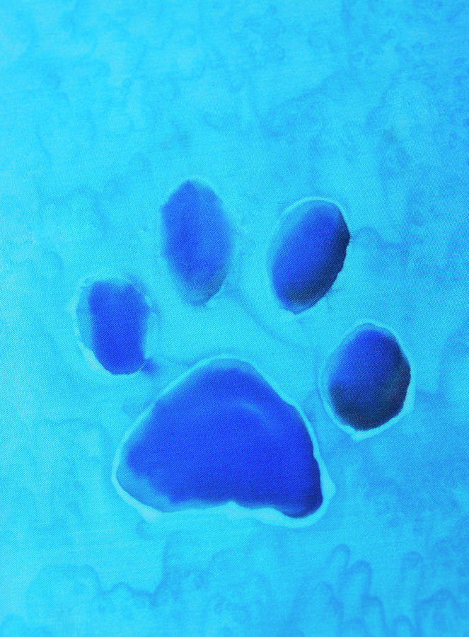 Abstract Photograph - Dog Paw Silk Painting in Blue by Iris Richardson