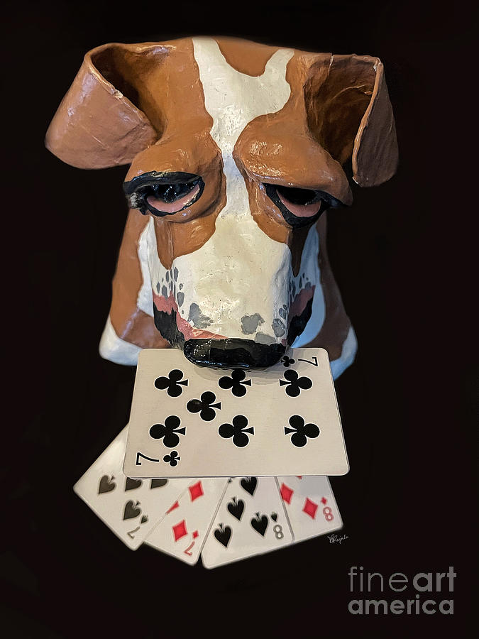 Dog Playing Poker Photograph by Diana Rajala