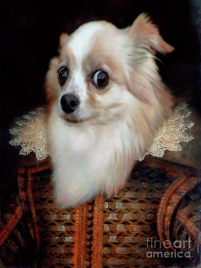 Dog portrait ... differently Digital Art by Jerzy Czyz