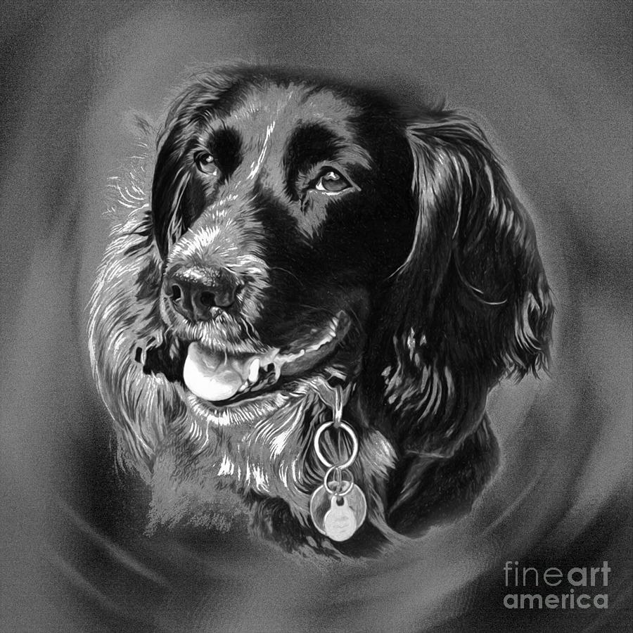 Dog Portrait  Painting by Gull G