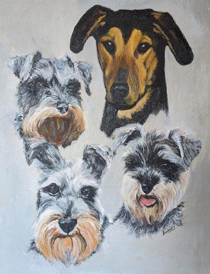 Dog portraits Painting by Abbie Shores