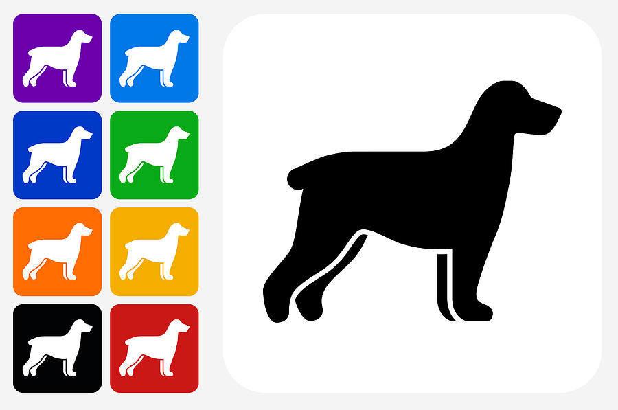 Dog Silhouette Icon Square Button Set Drawing by Bubaone
