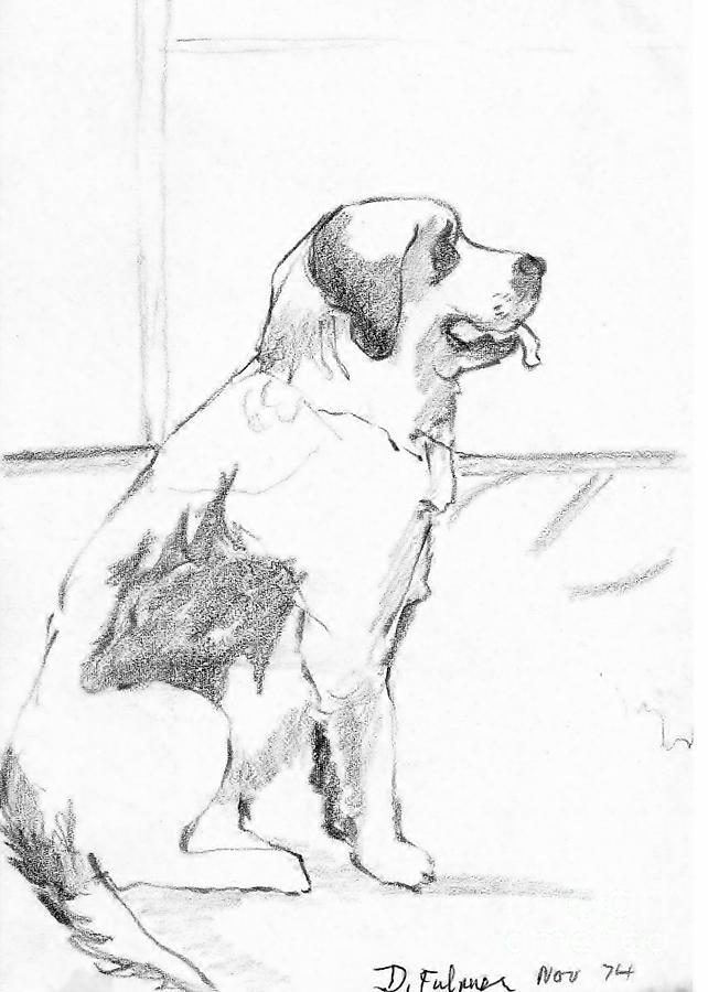 Dog Sketch Drawing by Denise F Fulmer