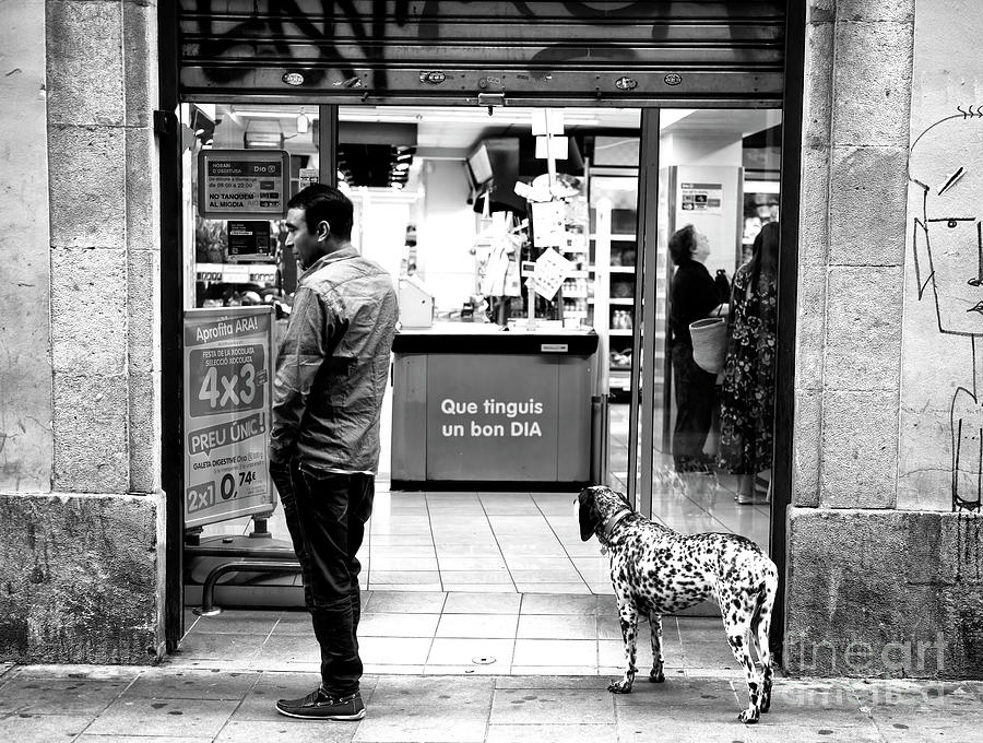 Dog Spots in Barcelona Photograph by John Rizzuto