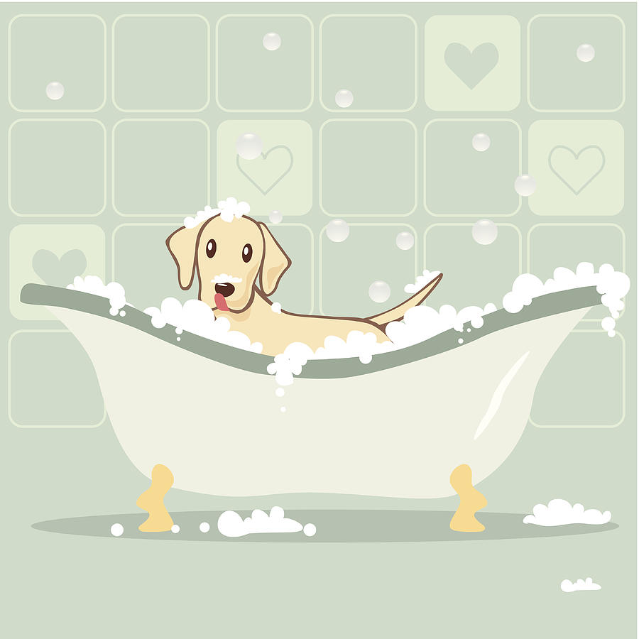Dog taking Bubble Bath Drawing by Gollykim