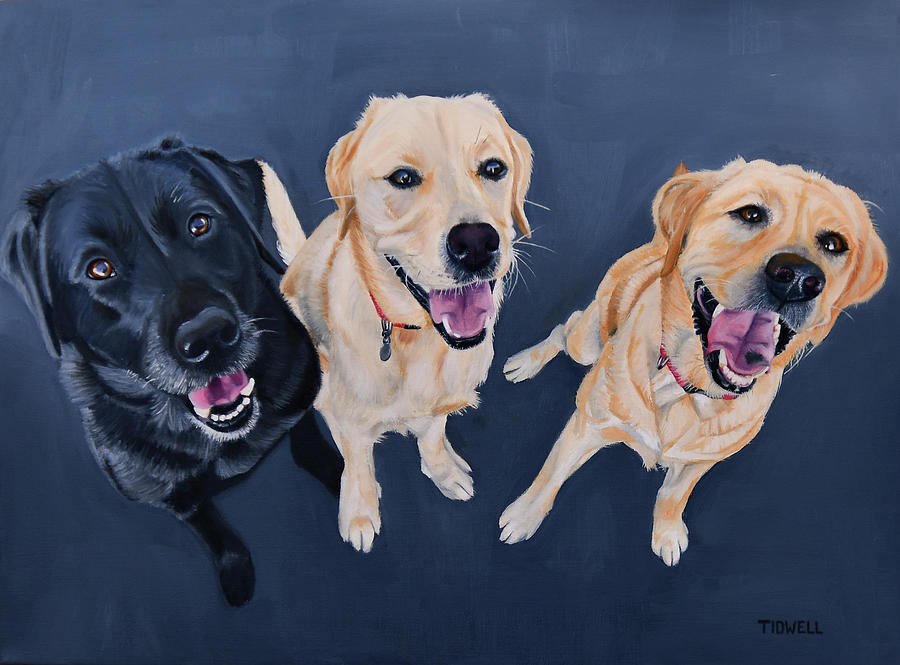 Dog Trio Painting by Deborah Tidwell Artist