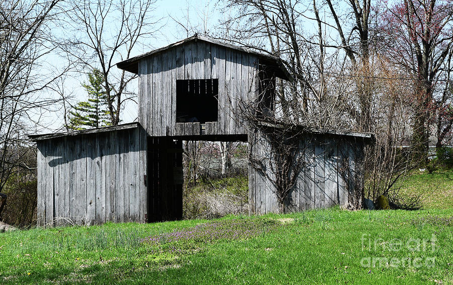 Dog Trot Barn Photograph by Robert Tubesing - Fine Art America