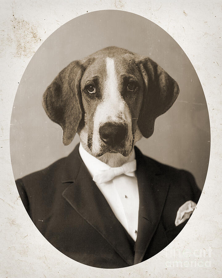 Dog vintage portrait Photograph by Delphimages Photo Creations