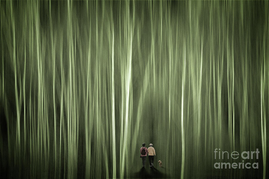 Dog Walk in the Forest Digital Art by Edmund Nagele FRPS