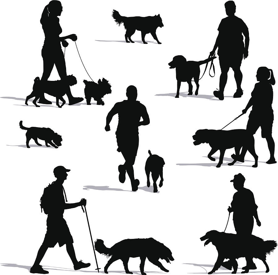 Dog Walkers Drawing by D-l-b