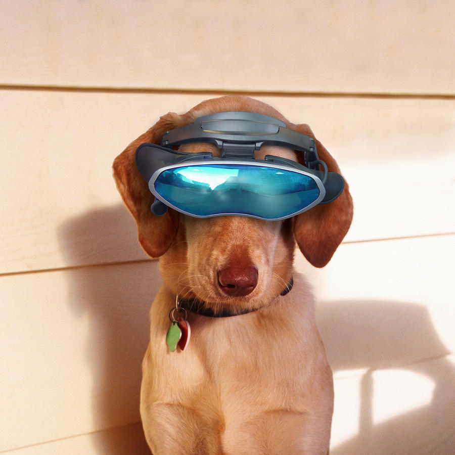 Dog wearing virtual reality goggles Photograph by Thinkstock Images
