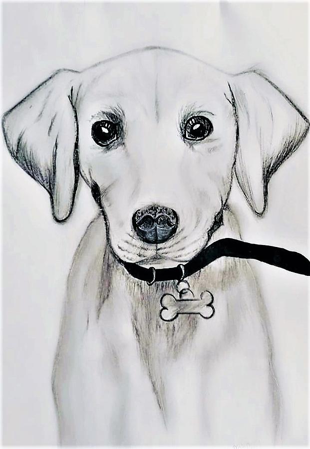 Hand Drawn Charcoal Dog Portraits - PaintYourLife