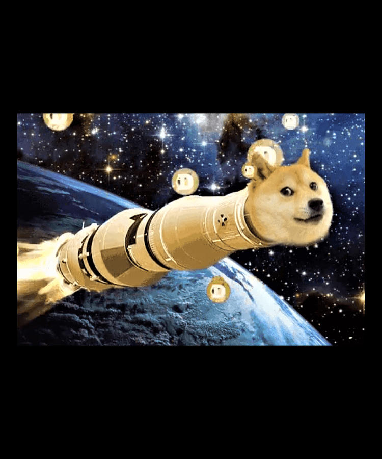 Dogecoin To The Moon Digital Art by The Pristine Artist