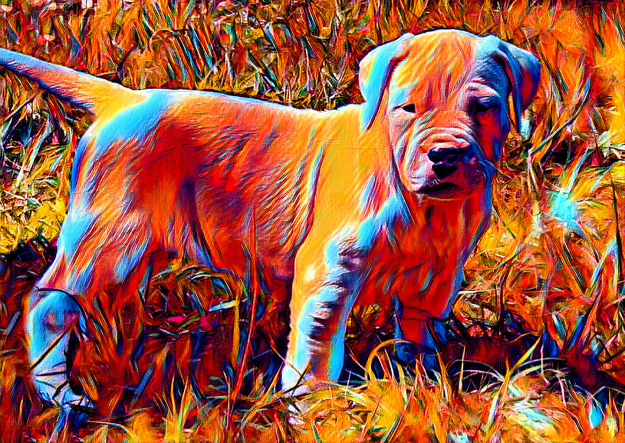 Dogo Argentino puppy in the grass - colorful dark orange, red and cyan Digital Art by Nicko Prints
