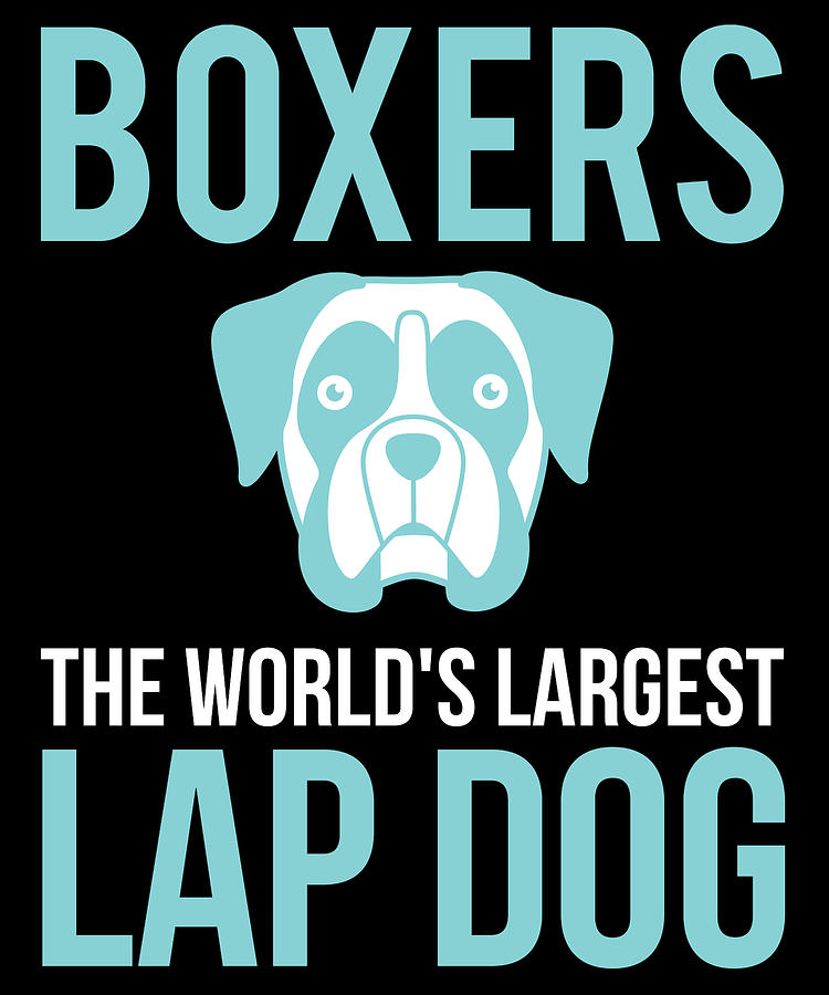 Largest boxer clearance dog