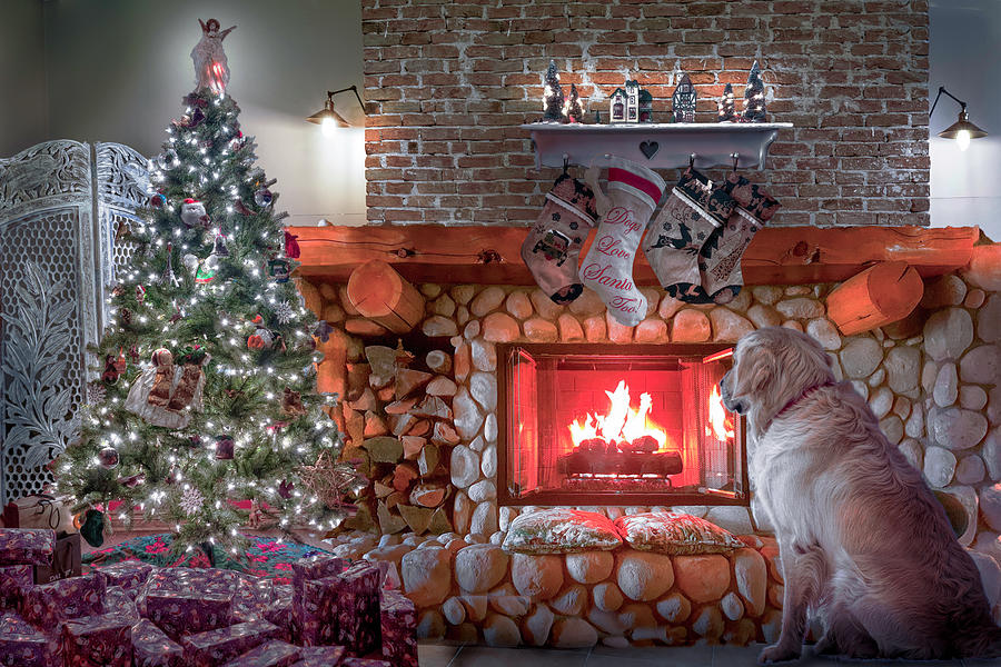 Dogs Love Santa Too in Soft Tones Digital Art by Debra and Dave Vanderlaan