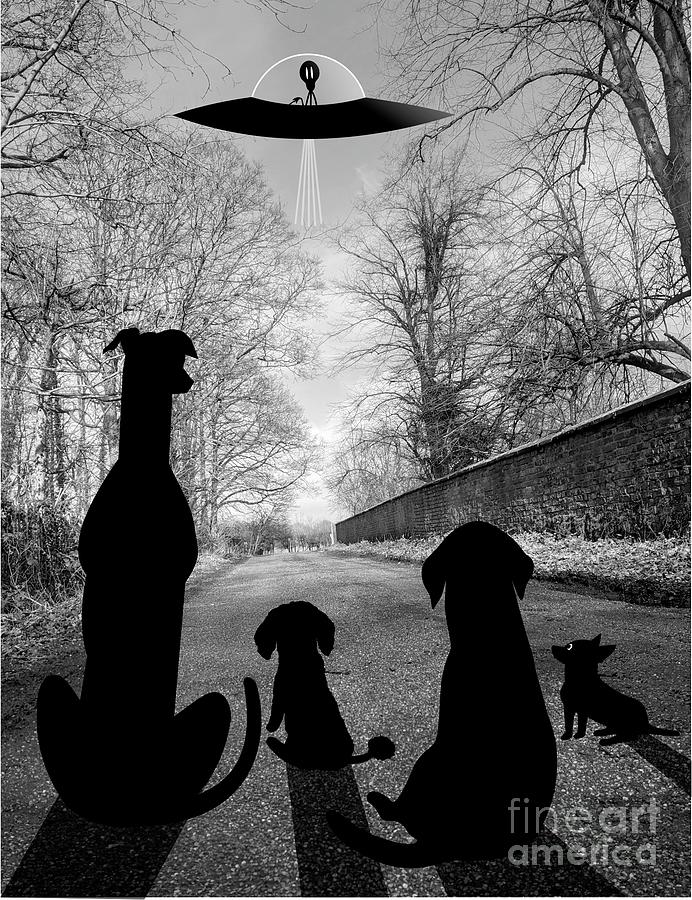 Dogs Spy Alien in Flying Saucer Digital Art by Donna Mibus