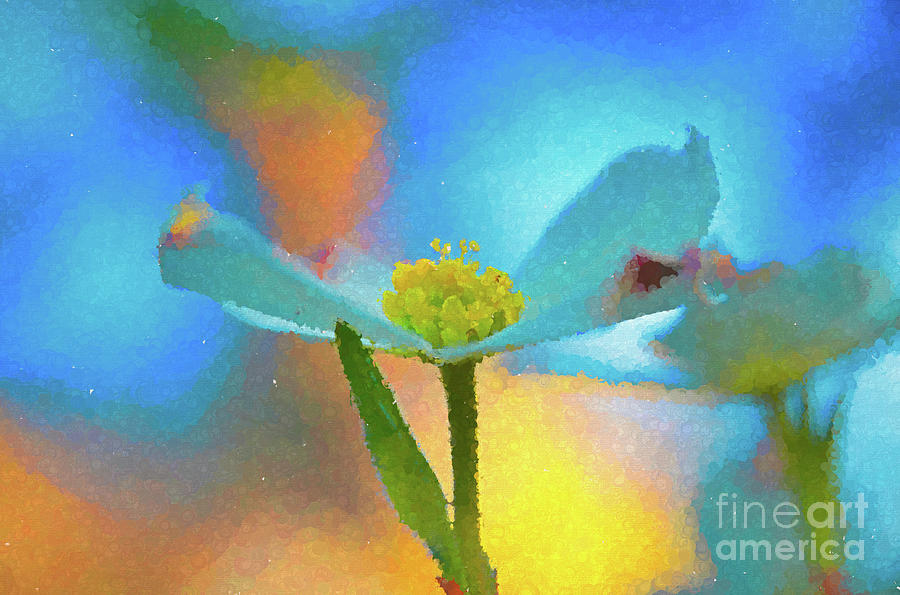 Dogwood 16 #easter #colorful #textured Photograph by Andrea Anderegg