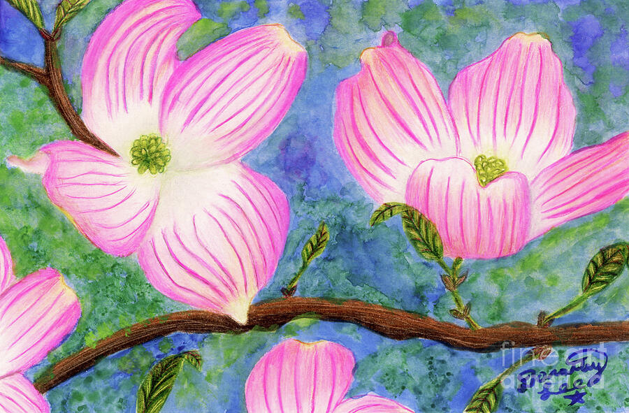 Dogwood Blossoms Painting by Dorothy Lee