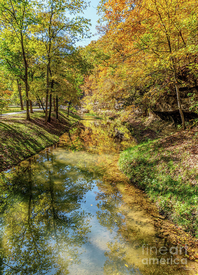 Dogwood Creek Autumn Reflections Vertical Photograph by Jennifer White