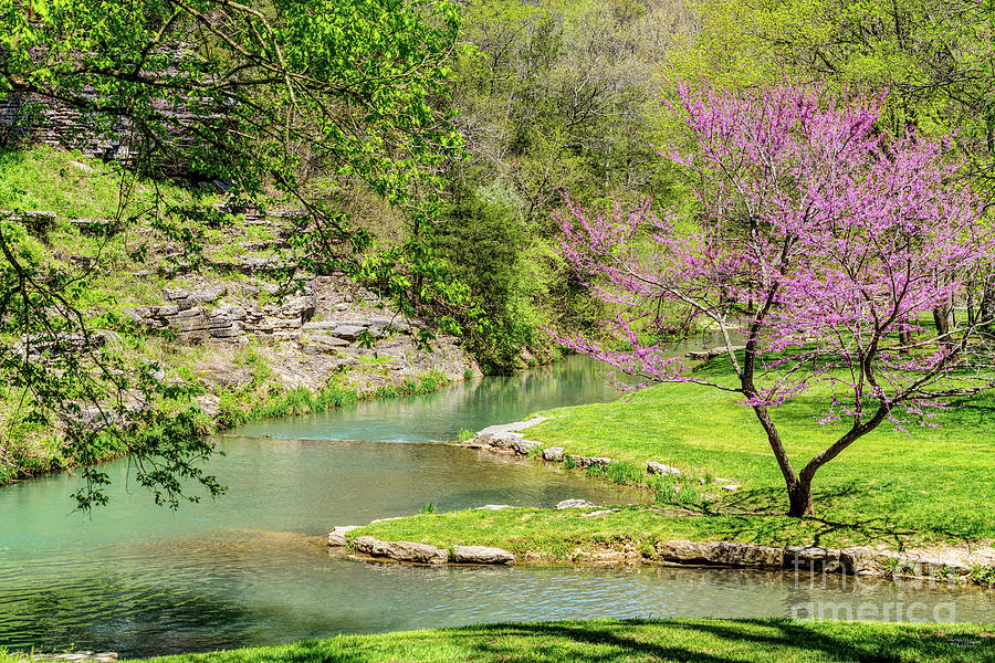 Dogwood Creek Spring Season Afternoon Photograph by Jennifer White