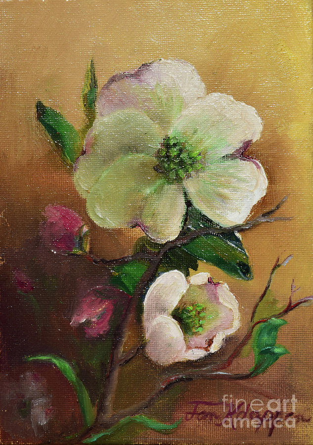Dogwood in Oil Painting by Jan Dappen