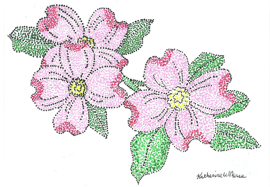 Dogwood In Pointillism Drawing By Katherine W Morse