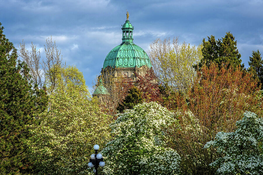 Dogwoods and the Dome Photograph by Lynn Bauer Dogwoods and the Dome Photograph by Lynn Bauer