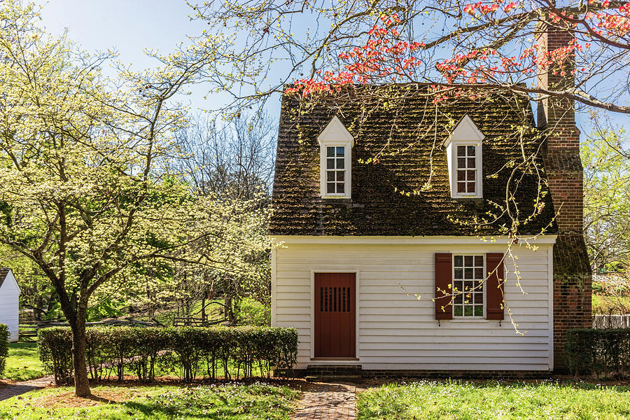 Dogwoods Blossoming and a Colonial Cottage Photograph by Rachel Morrison